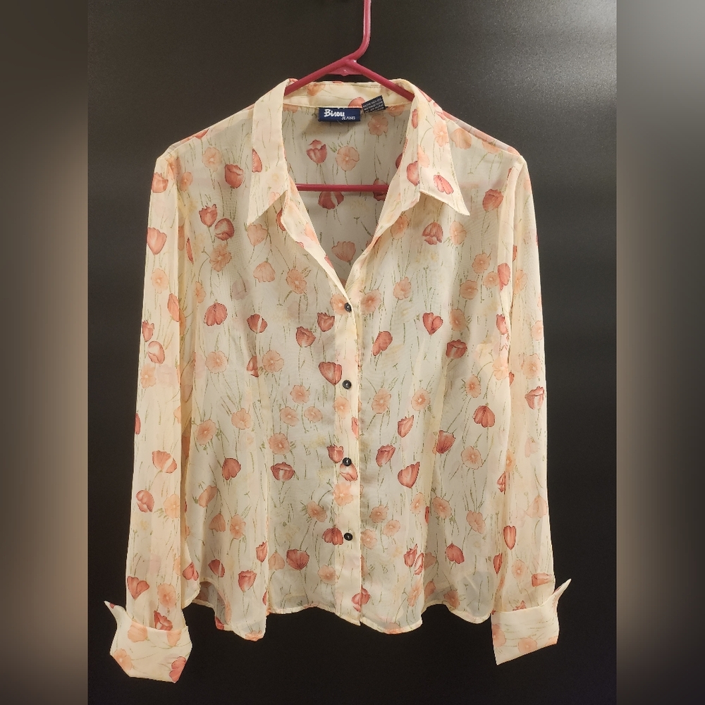Bisou Jeans Sheer Blouse